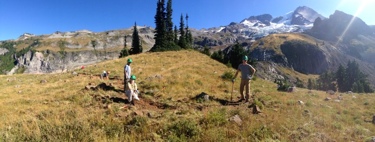 Trail work volunteers improve a section of trail on emerald ridge at Mount Rainier National Park. WTA Archive. 