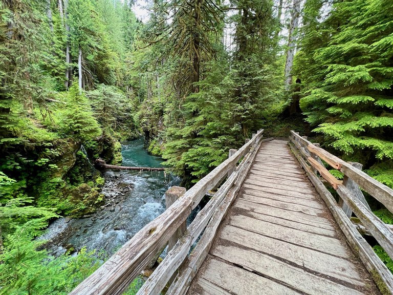 A wood bridge crosses over a bright blue river running through a forest.