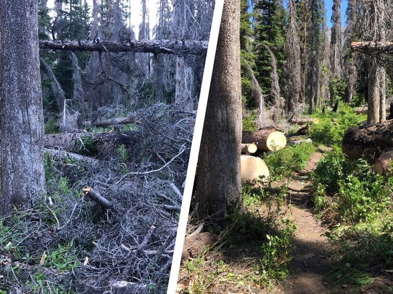 Entiat trail by Ginevra Moore Split shot of the same section of trail: blocked by a dozen burnt trees (left) and free and clear (right)