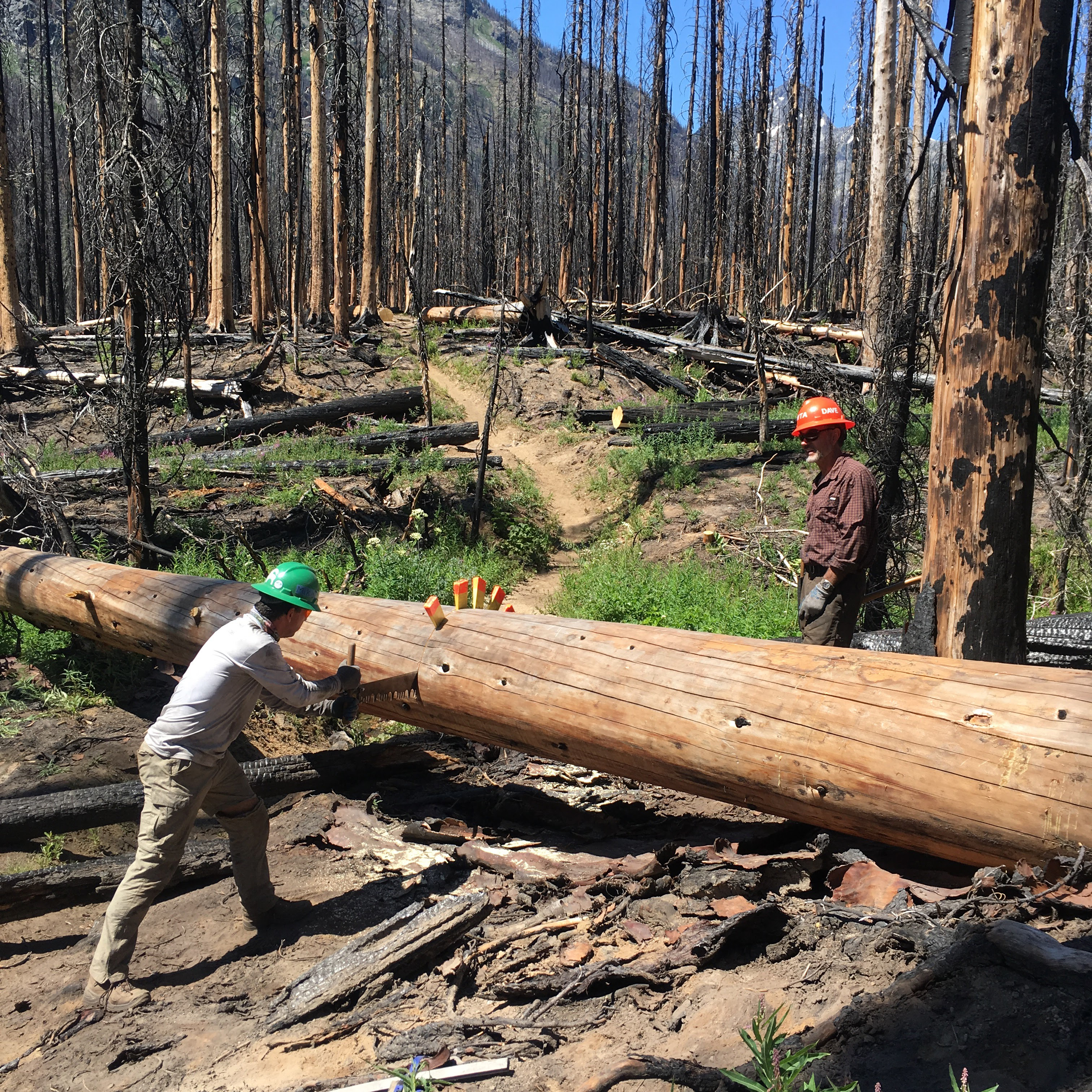 Entiat River trail work 2017 by Marla Martin