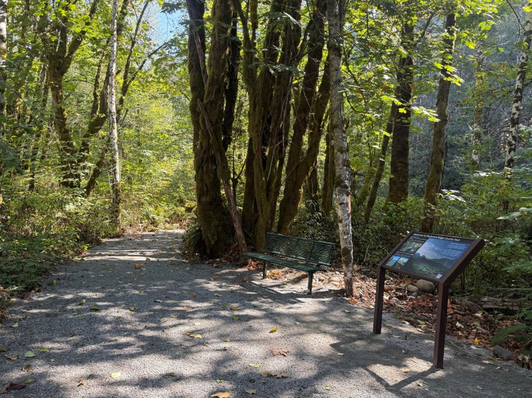 The newly-improved ADA-accessible Erinswood trail, graveled with a bench and interpretive sign. Photo by Emily Griffith from Snohomish County Parks. 