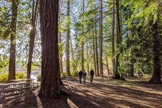 Facing a budget deficit, legislators cut funding for state parks and recreation lands