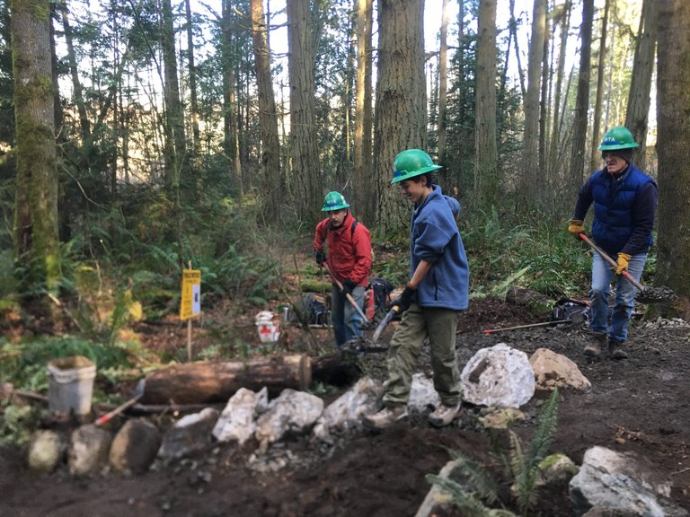 Fairhaven Forest by Arlen Bogaards (2).jpg