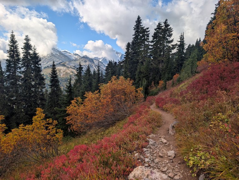 Fall colors on trail. Fall colors on trail.