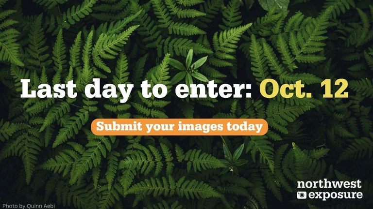 An image with a background photo of leaves with text indicating that the photo contest ends on October 12.