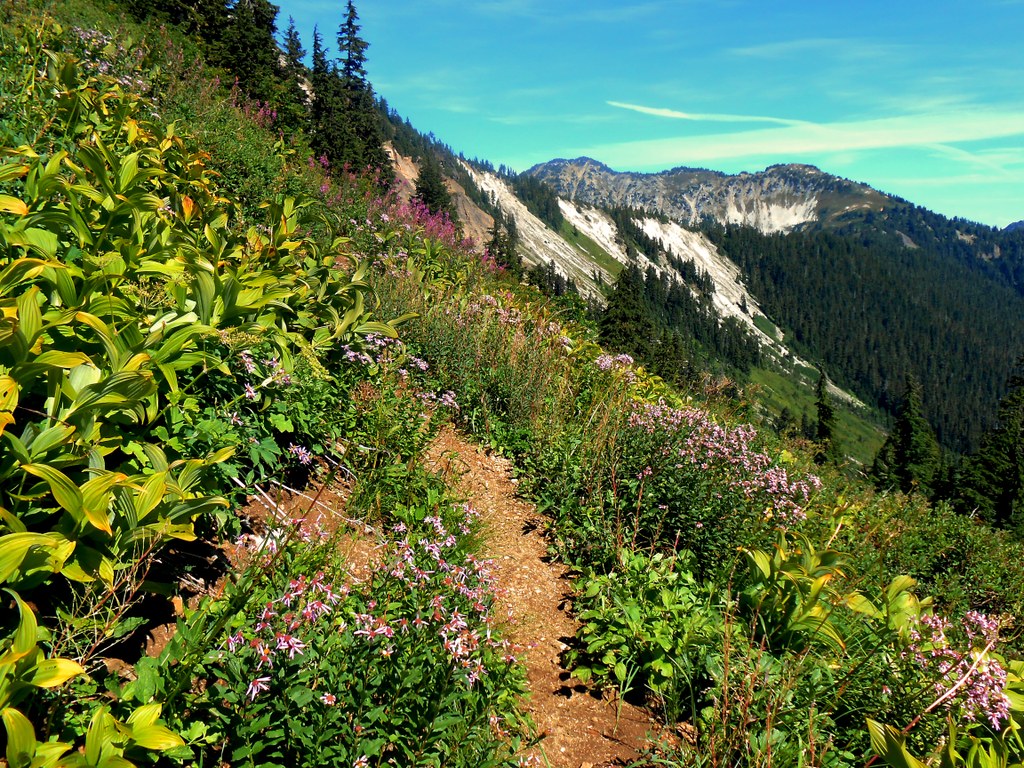 hannegan pass nwroth