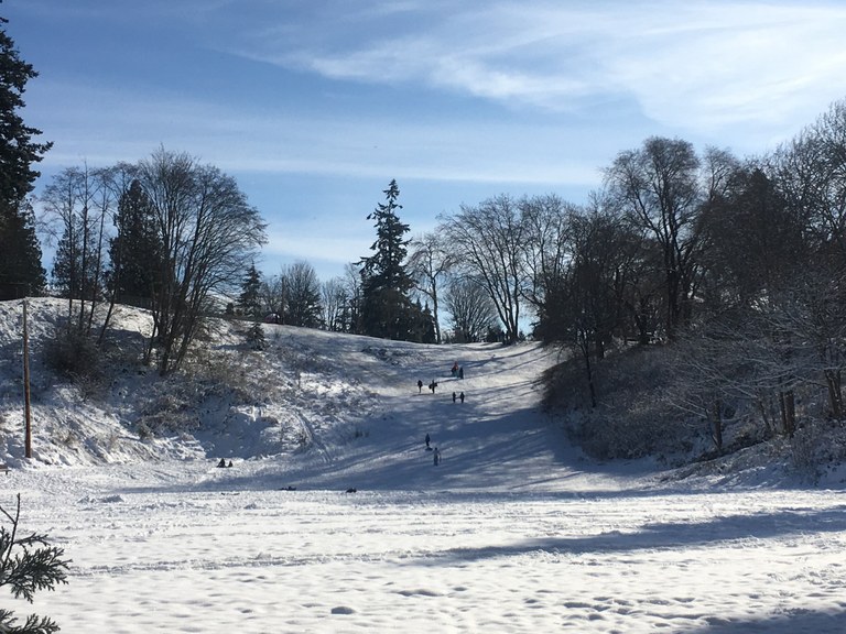 Forest Park by Must Hike Must Eat.jpeg Forest Park by Must Hike Must Eat.jpeg