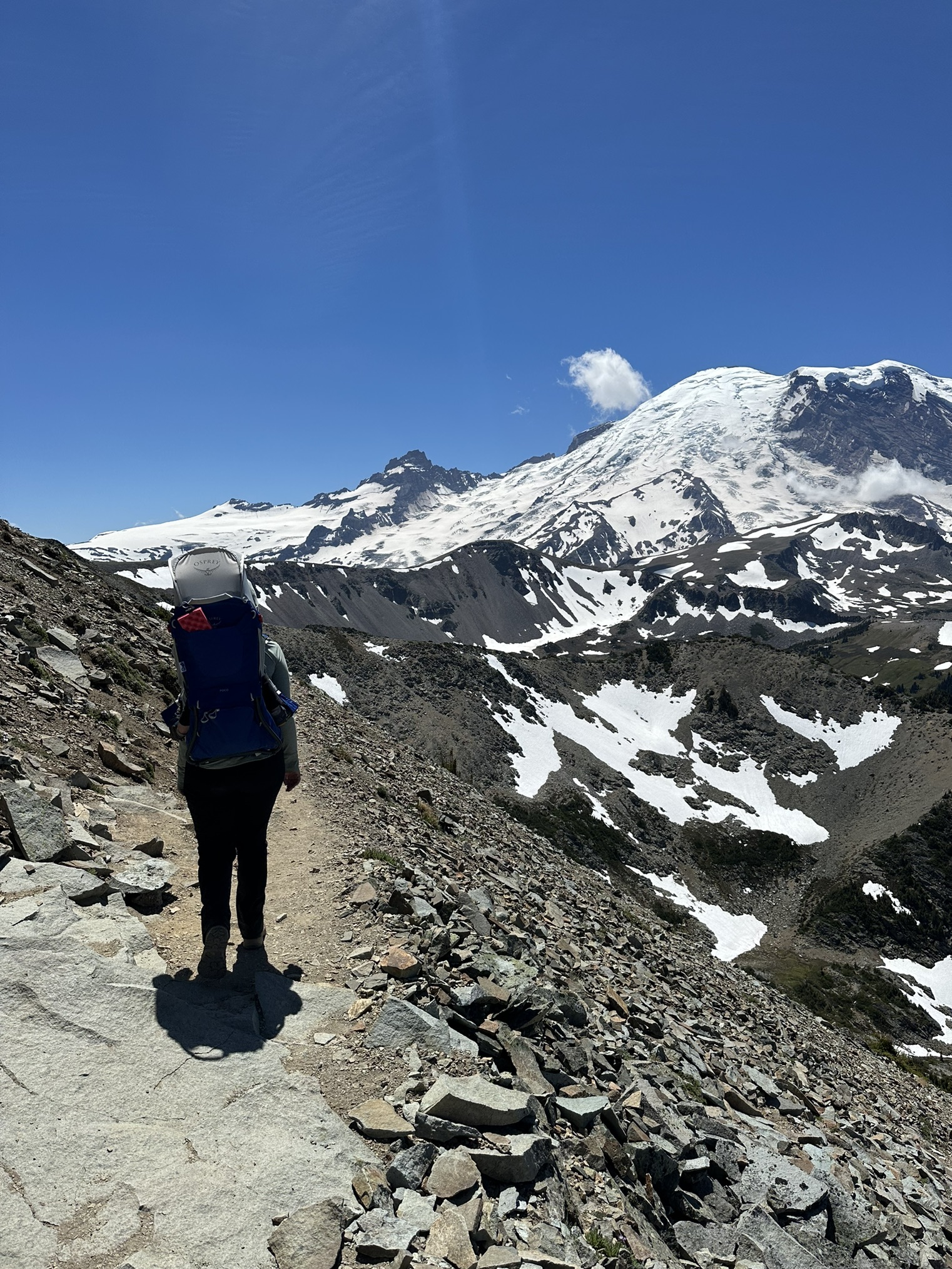 An adult hiking with a carrier with Mount Rainier in the background. Photo by ef91.