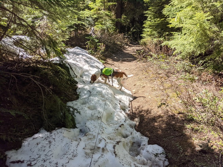 french creek_isaac n martinez.jpeg