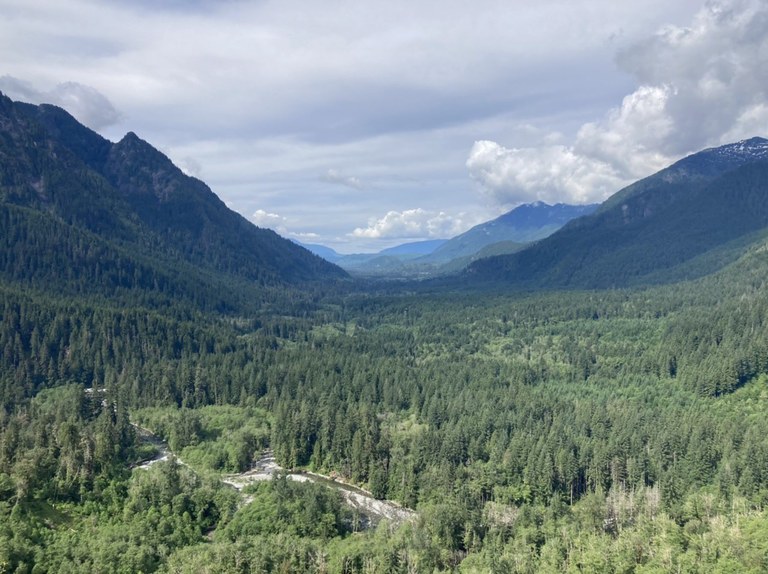 A big glacial valley filled trees takes up the foreground of this photo, with a gray sky topping it off.