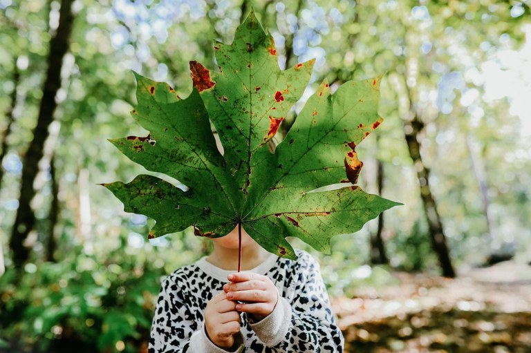 giant leaf brandi stafford.jpg