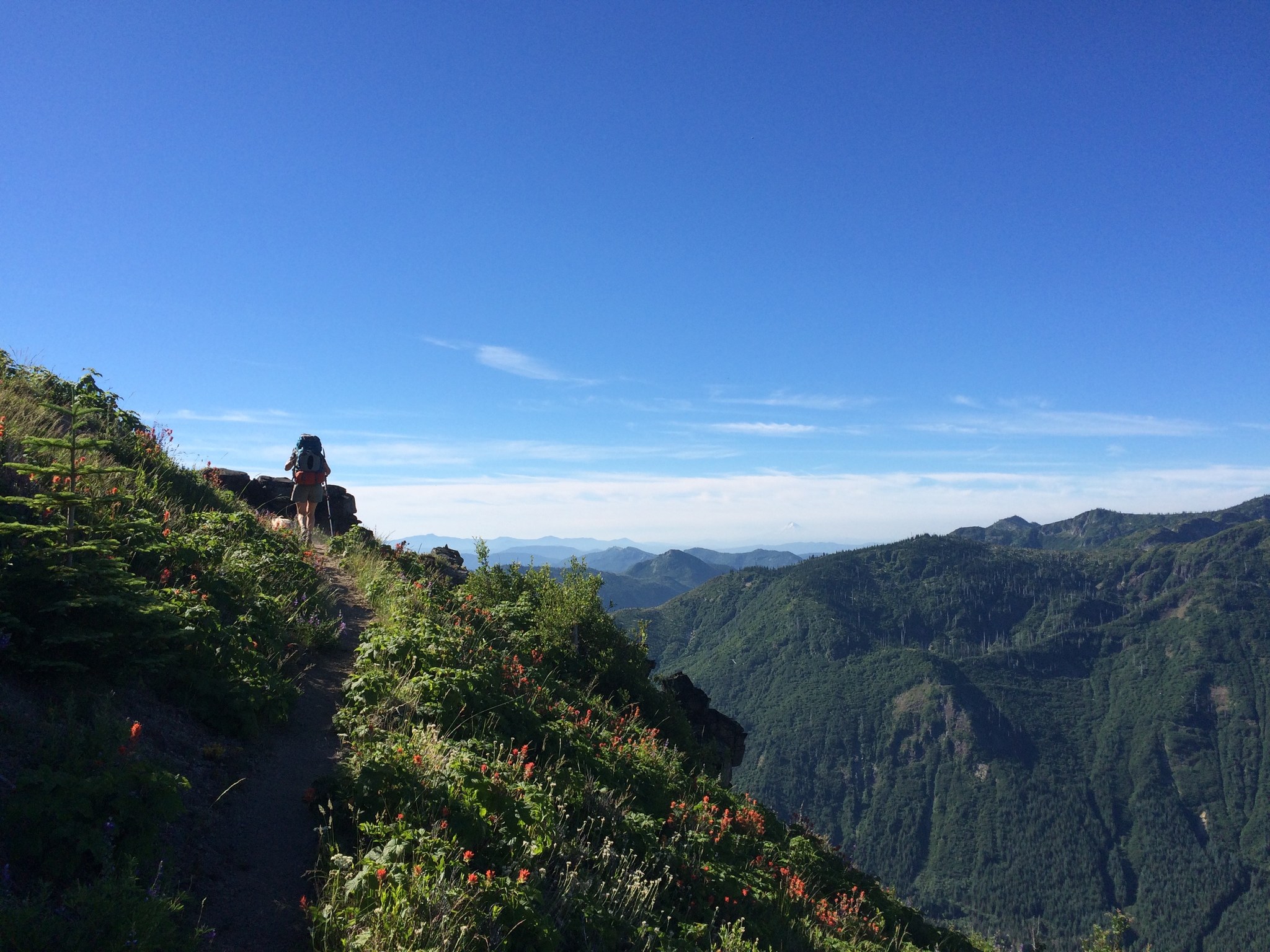 Goat Mountain by Boca and company.jpeg