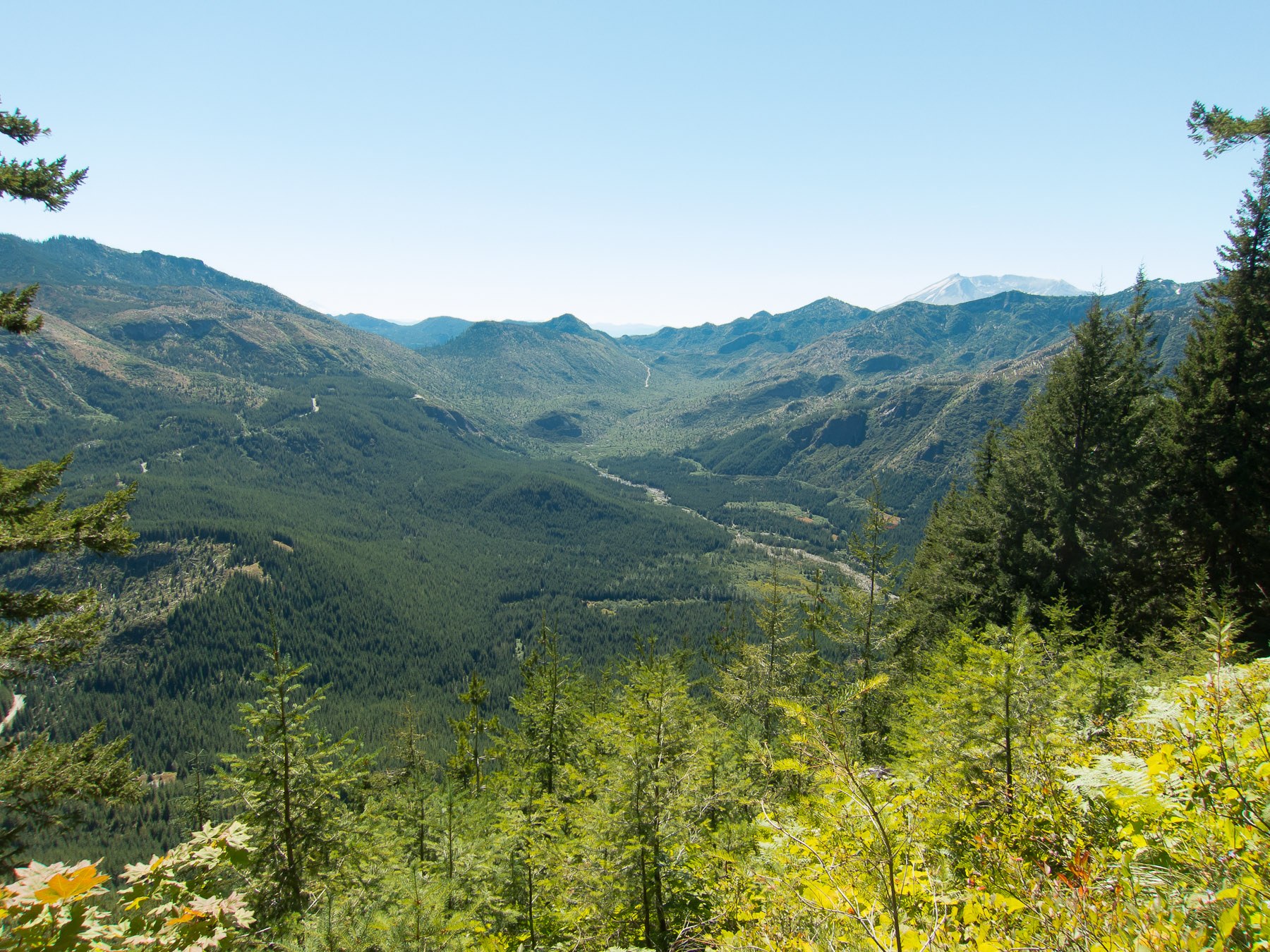 Goat Mountain Mine - Mount St. Helens.jpeg