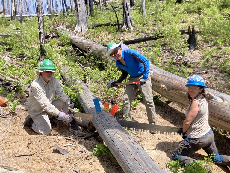3 trail crew members work cutting a log on a backcountry response team (BCRT) work party. Photo by Perry Sproed.