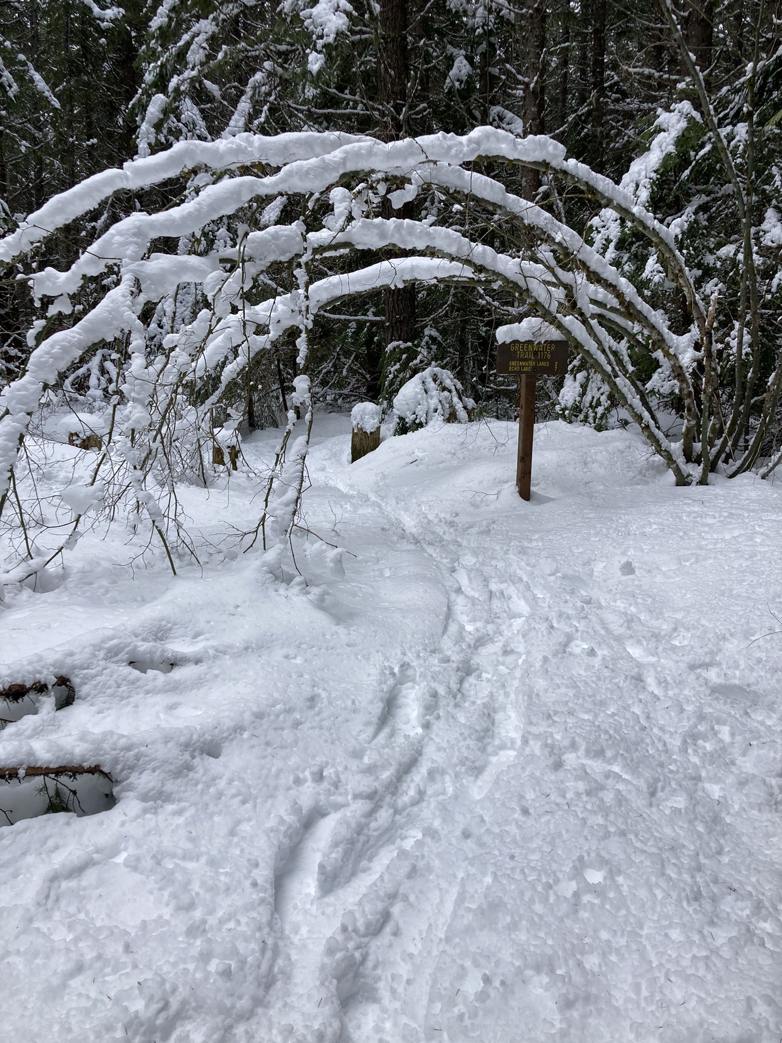 Greenwater and Echo Lakes A view of a snowy trail with a few sets of footprints imprinted in it.