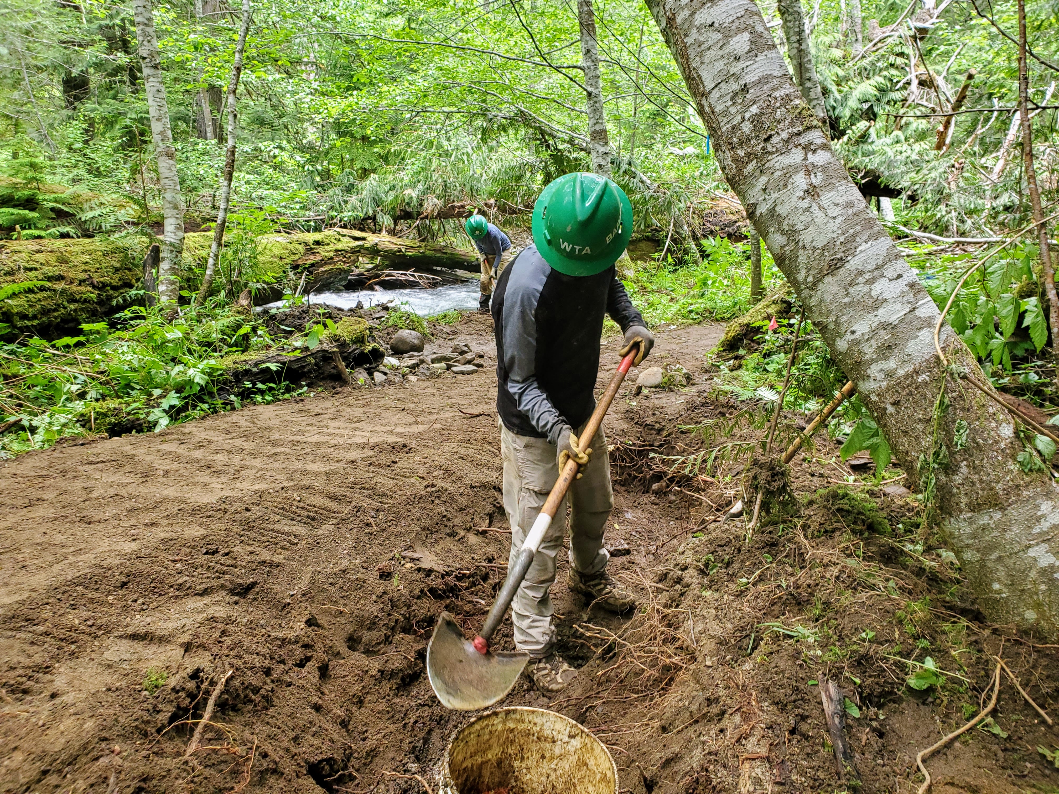 WTA volunteer using a shovel to flatten out a trail they are working on during a work party.