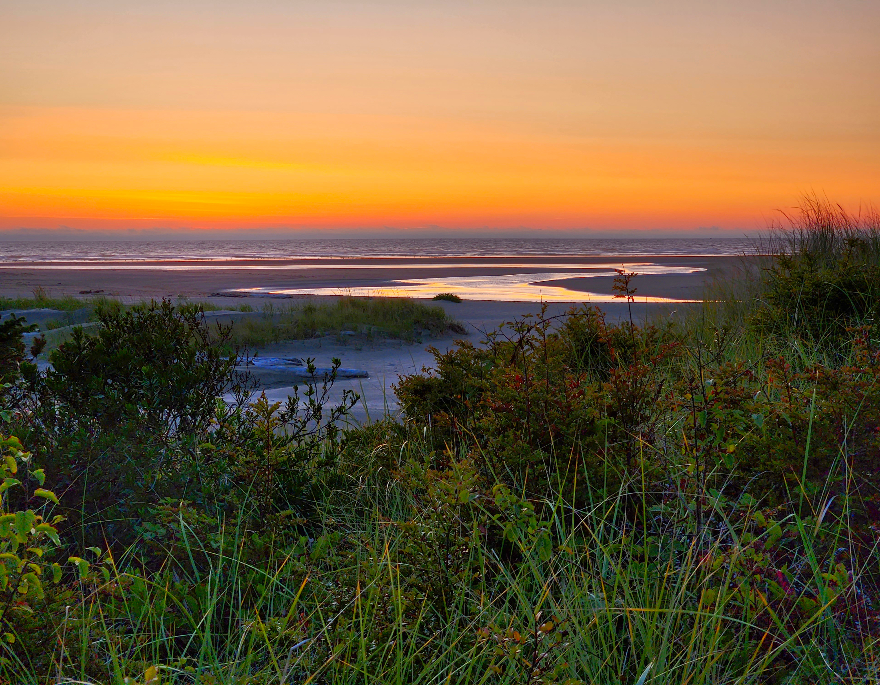 Sunset over the sound with green vegetation in the foreground