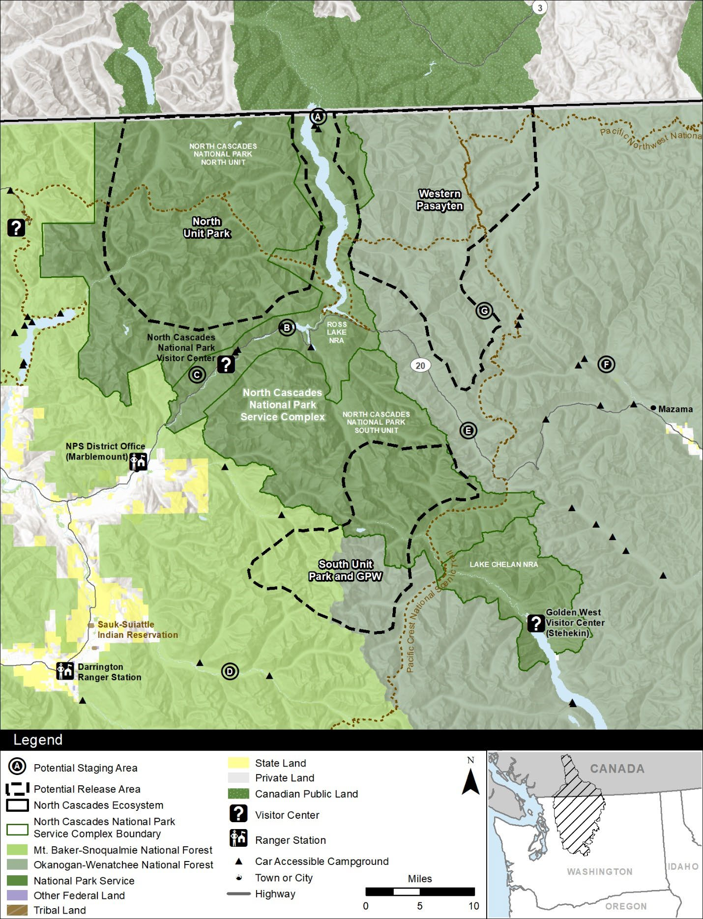 Map of North Cascades showing three potential grizzly release areas in the north of North Cascades National Park, south of North Cascades National Park and the western Pasayten