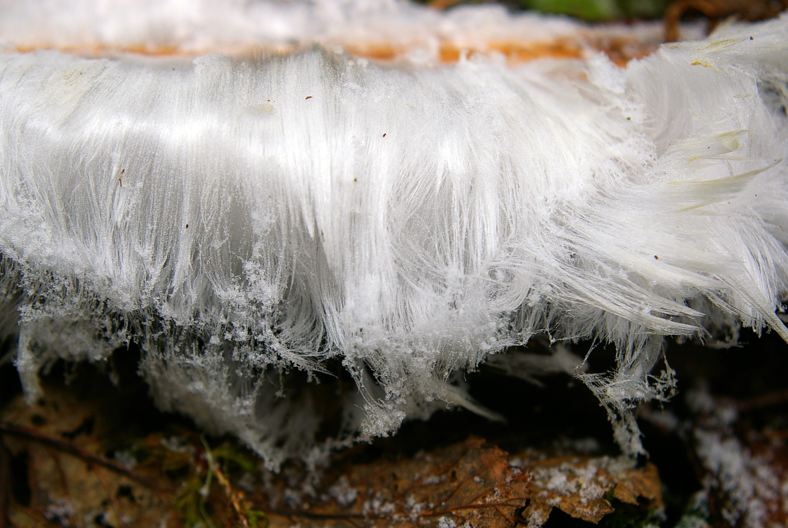 Hair ice2.jpg