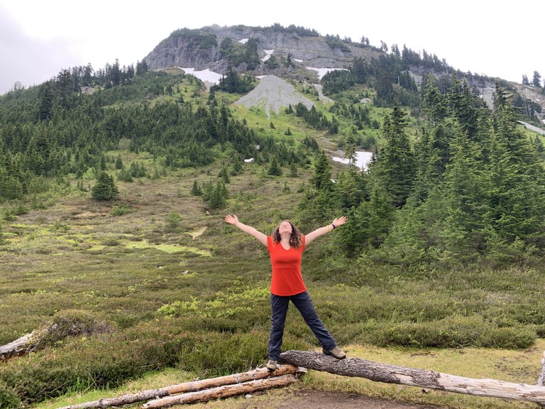 Hannegan Pass and Peak by cheesevjam. Hannegan Pass.jpeg