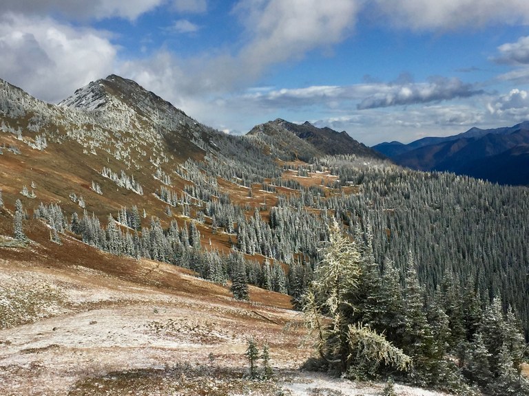 Hart's Pass. Photo by Jay Blackburn.