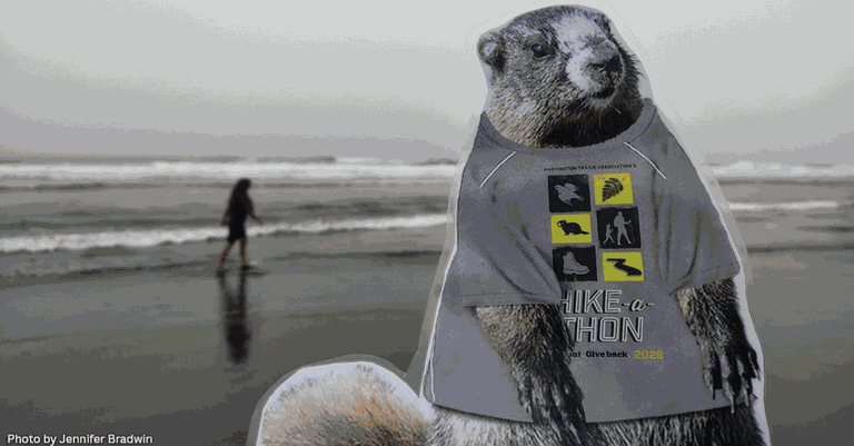 A series of photos that feature a cutout picture of Miles the Marmot, the Hike-a-Thon spokesmarmot. He is pictured on the beach, in a fern, at a farmstand, along a trail through tall dry grass and at Mt. Rainier. Photos by Jennifer Bradwin, Jenna van Rijn, Courtenay Schurman, Jayme Jonas and Allie Keihn.