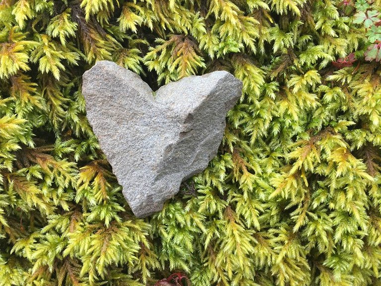 A heart-shaped rock on a bed of moss.