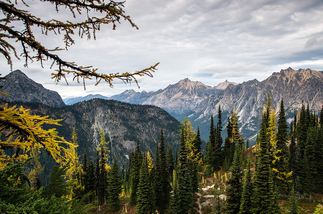 Heather Maple Pass by David Kennedy.jpg