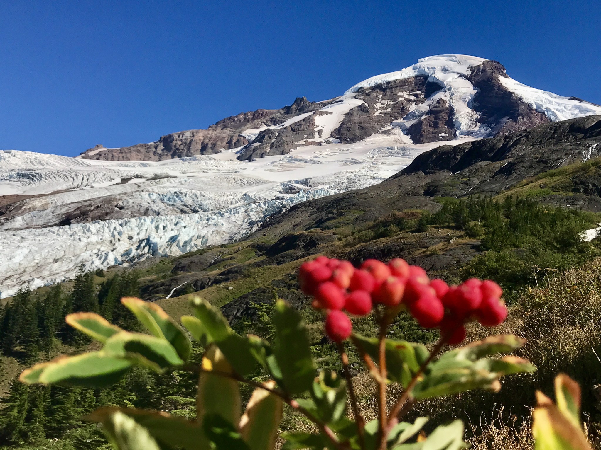 Heliotrope Ridge by LZhang.jpeg
