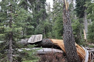 Help trails recover from storms: Your trip reports needed