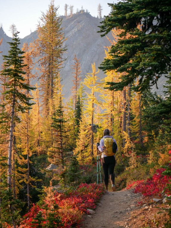 Hiker on the trail. Photo by Peter Harrison.  Hiker on the trail in the Pasayten Wilderness. Photo by Peter Harrison.