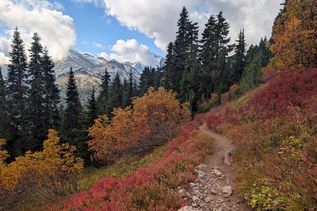Hiker Headlines: Fall colors, Summerland trailhead closure, Three Queens Fire closure reduced