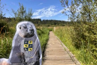 Hiker Headlines: Last call for Hike-a-Thon donations; Hoh River Bridge closures; WTA in the news