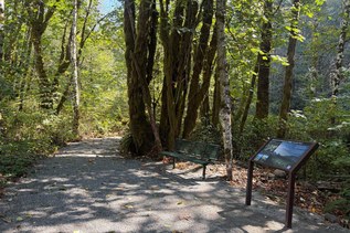 Hiker Headlines: New ADA trail, Newhalem visitor center closed for winter, now hiring
