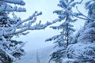 Hiker Headlines: Stehekin and Johnston Ridge Observatory road repairs begin, fee-free day, mountain snow