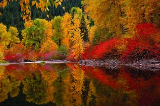 Hiker Headlines: Trail and road closures, a new trail bypass, burn bans, plan your fall hiking