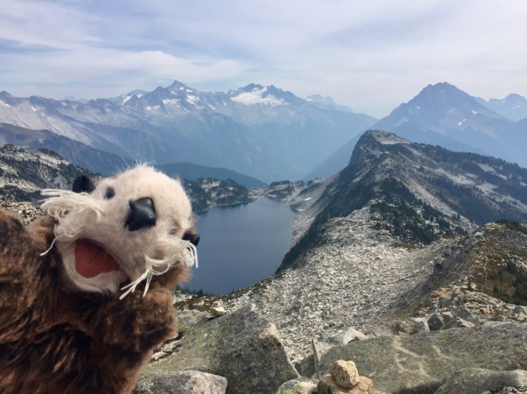 hikingotter Hidden Lake Lookout mountain view stoke.jpeg