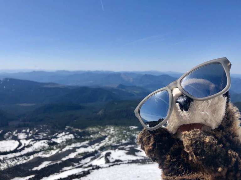 hikingotter Mount St. Helens.jpeg