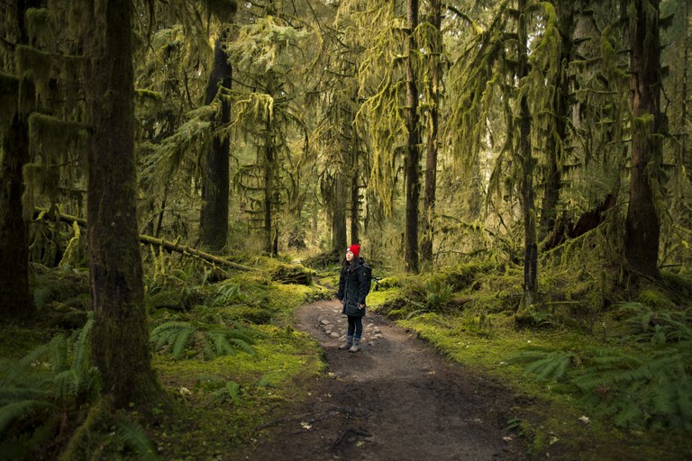 hoh rainforest mike cox.jpg