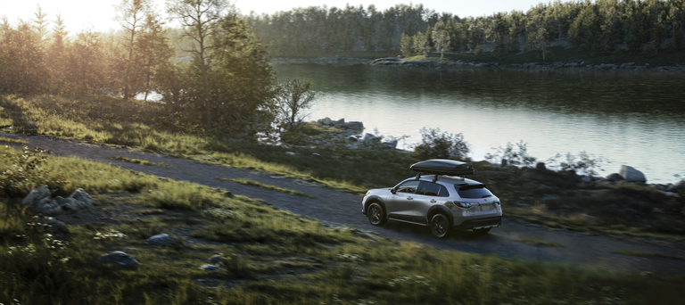 A Honda drives down a wilderness road toward the beach — a great place to visit in winter.