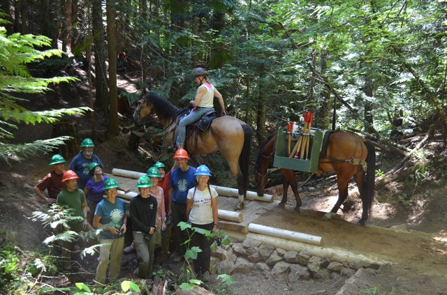 horse on bridge todd dunfield