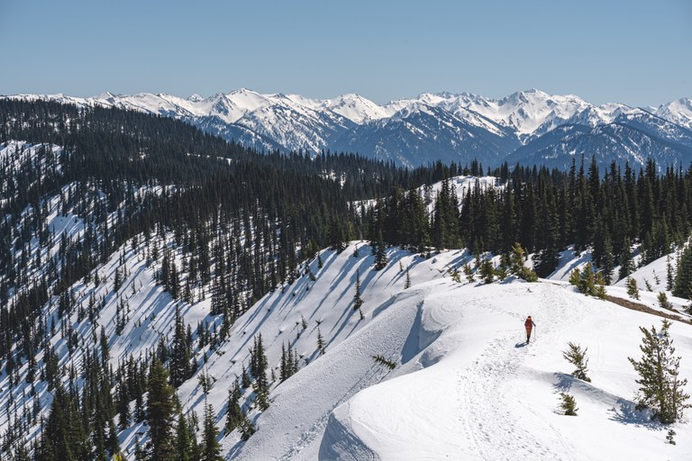 Hurricane Ridge Winter. Photo by James Carpio A vast snow-covered ridge with a person snowshoeing in the distance.