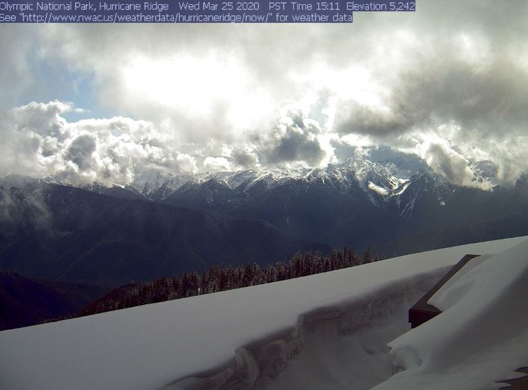 Hurricane Ridge webcam