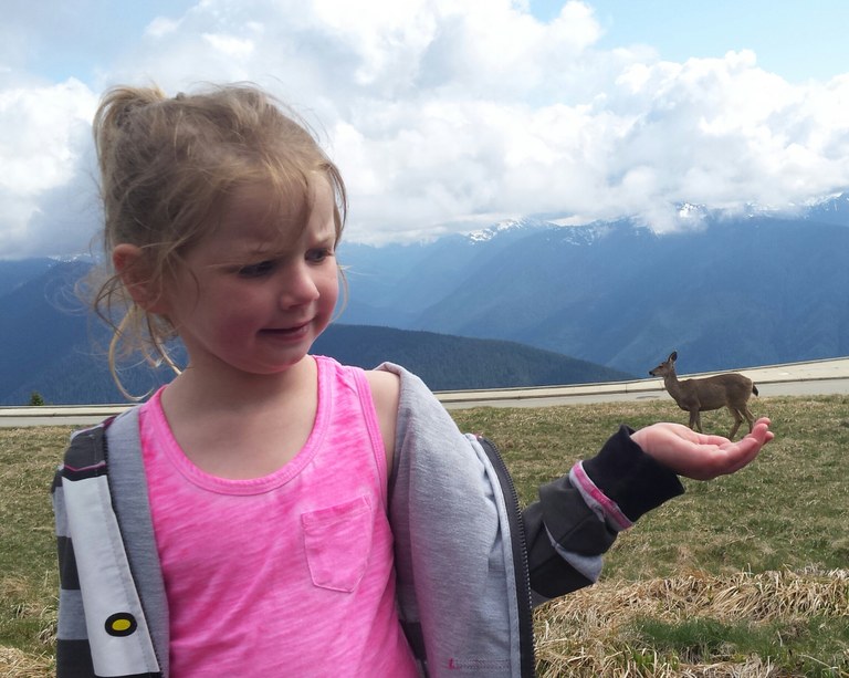 hurricane ridge_joshua dalrymple.jpg