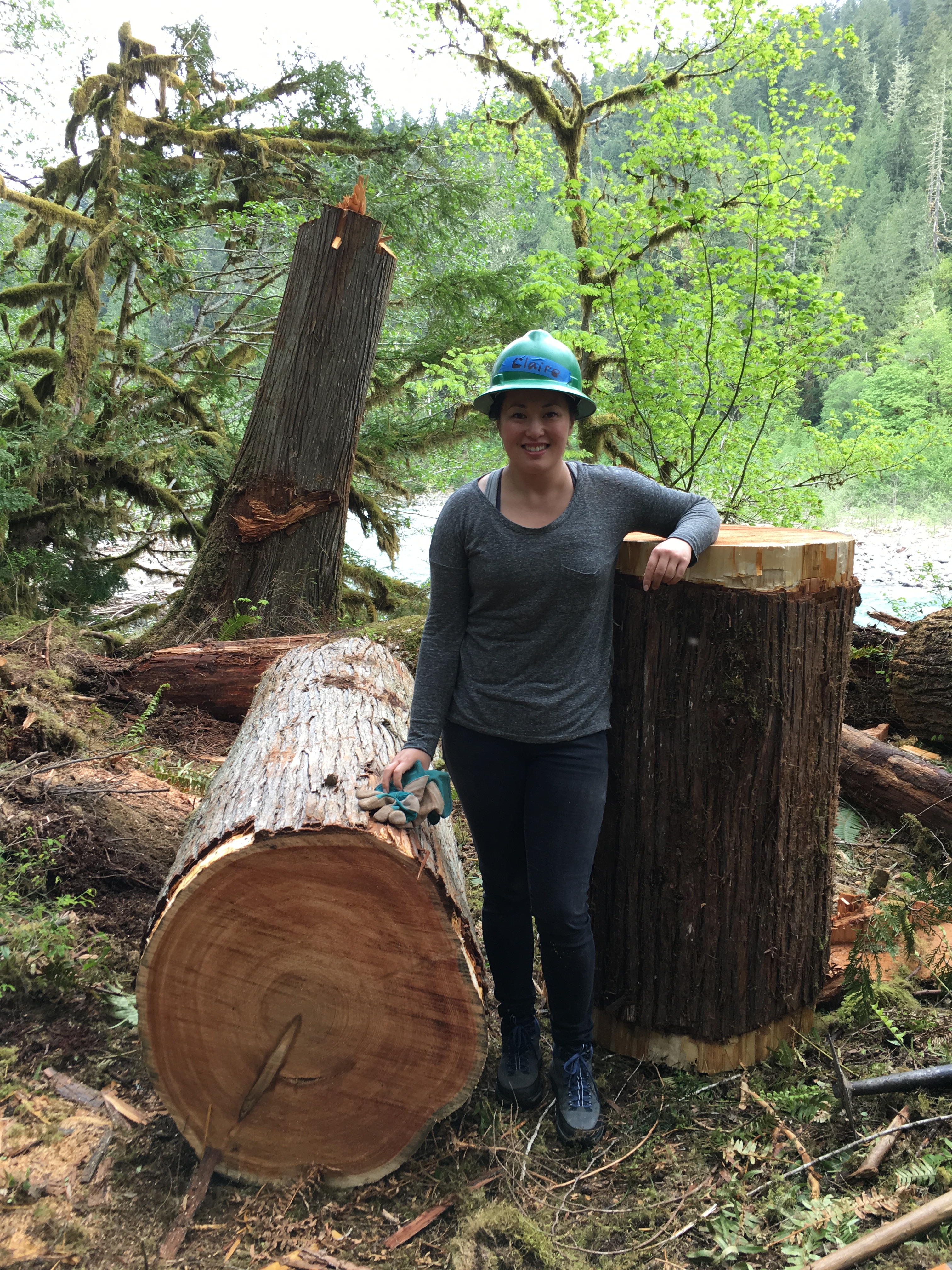 image2.JPG image2.JPG