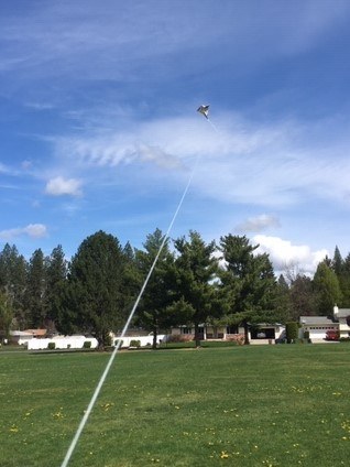 Galen flies his kite