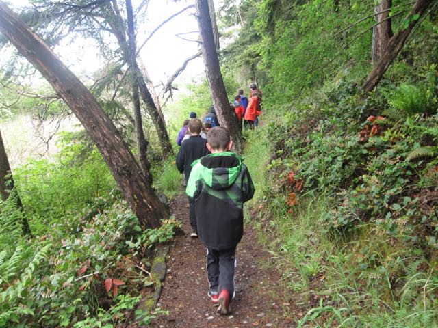 IMG_2729.jpg IMG_2729.jpg