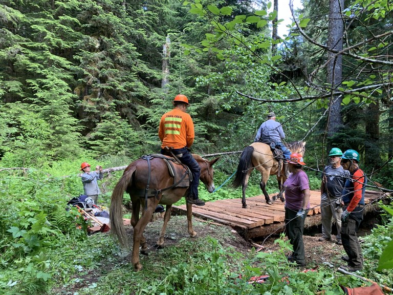 Trail maintenance workers watch as horses cross their newly made bridge.