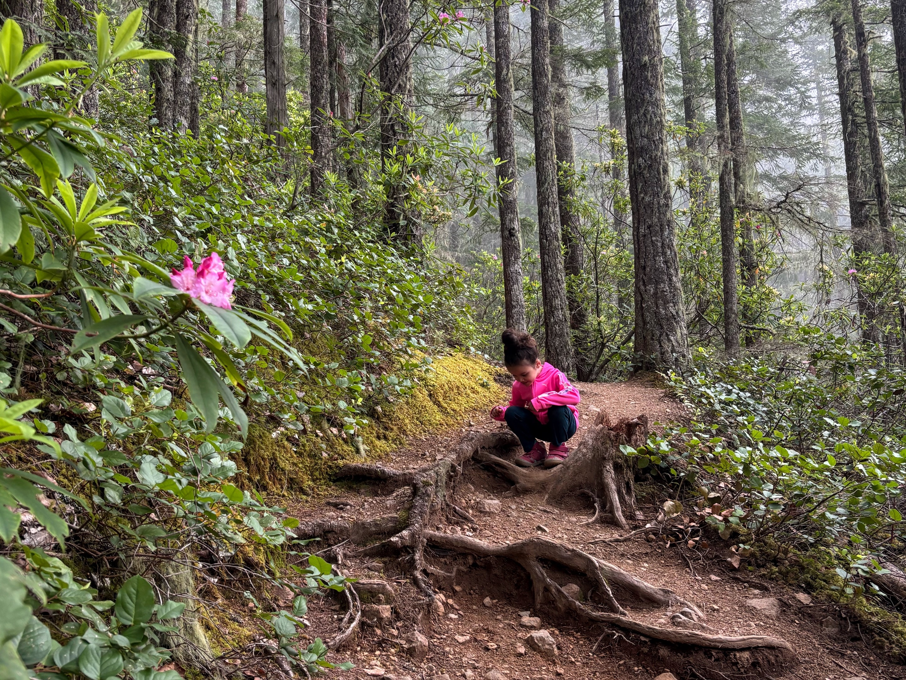 Child crouches down on trail, inspecting details of trail.