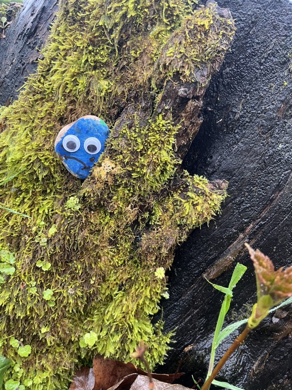 A pet rock nestled in some moss looks sad.